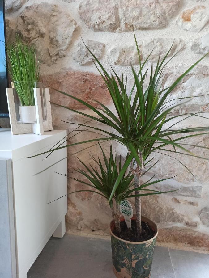Grannyanny Apartment Šibenik Екстериор снимка